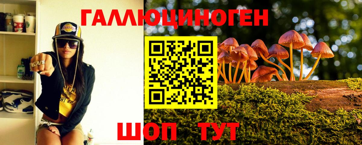 Миасс  Псилоцибиновые грибы мухоморы  Галлюциногенные грибы Psilocybe  Вход с VPN 